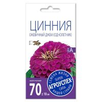 02Аг5812 Цинния Ежевичный джем (пурпурная),семена Агроуспех 0,3г (300)