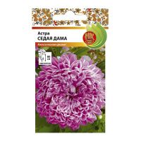 02Ру3878 Астра Седая дама (0,3г)