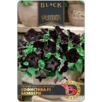 Петуния Софистика Блекберри F1