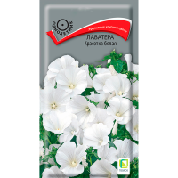 Лаватера Красотка белая (ЦВ) (1) 0,3гр