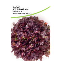 Салата Ксерафин