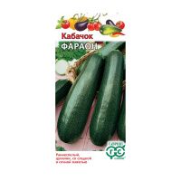 Га010430 Кабачок Фараон 2 г