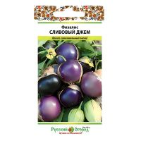 02Ру3859 Физалис Сливовый джем (30шт)