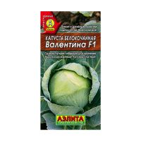 02Аэ1009 Капуста б-к Валентина F1 20шт