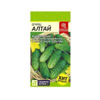 Огурец Алтай Сибирская Селекция