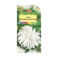 Га014645 Астра Июльская белая, однолетняя, 0,3 г