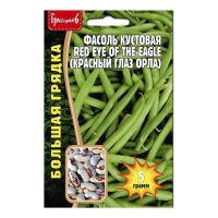 02Гр3044 Фасоль Red Eye of the Eagle (Орлиный Глаз)  5г NDS