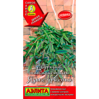 Двурядник тонколистный Язык дракона