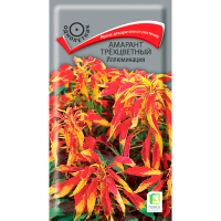 Амарант трехцветный Иллюминация (ЦВ) (1) 0,1гр