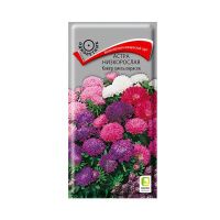 02По5033 Астра (однолетняя) низкорослая Ковёр смесь окрасок (ЦВ) (1) 0,2гр.