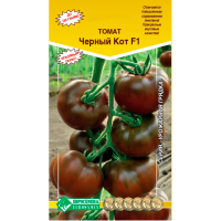 Томат ЧЕРНЫЙ КОТ F1 (10)