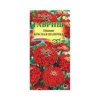 Га010756 Цинния Красная шапочка (лилипут) 0,3 г DH