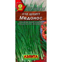 Лук шнитт Медонос