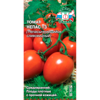 томат Непас 13 Непасынкующийся Сливовидный