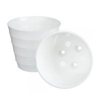 ЛР 17-10 Лаура 2,3л Бело-белый  пластиковый горшок d.17 h.15 с вкладкой12шт-коробка