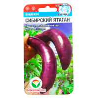 v8_24C0_34f79