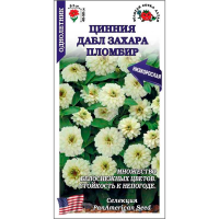 Цинния Дабл Захара Пломбир