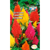 Целозия Пампас плюме  (перистая, высокорослая смесь)