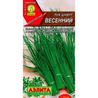 Лук шнитт Весенний