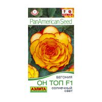 02Аэ1583 Бегония Он Топ F1 солнечный свет