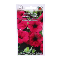 Петуния Прага Тоуга