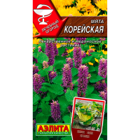 Мята Корейская