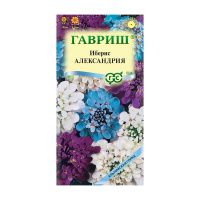 Га014676 Иберис Александрия 0,1 г серия Альпийская горка DH