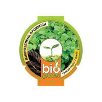 Га014250 Свежая зелень комплект (лоток для проращивания) семена брокколи в подарок