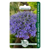 02Би3171 Лобелия ампельная Сапфир Блю вит Ай NDS