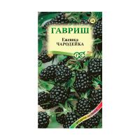 Га014466 Ежевика Чародейка 10 шт