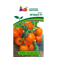 Томат АГАША F1