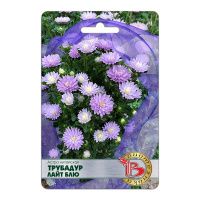 02Би2878 Астра китайская Трубадур Лайт Блю NDS