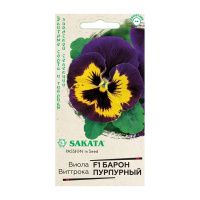 Га014488 Виола Барон Пурпурный F1 Виттрока  (Анютины глазки) 5 шт. Саката серия Эксклюзив