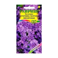 Га014246 Вечерница обыкновенная (Хесперис) Вечерница Матроны фиолетовая 0,5 г серия Сад ароматов DH