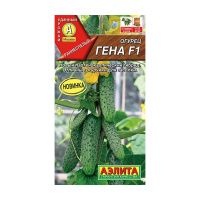 02Аэ1071 Огурец Гена F1