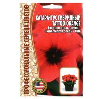 02Гр2999 Катарантус Tattoo Orange F1 5 шт. NDS
