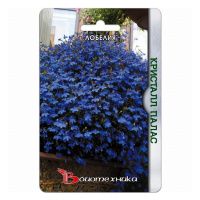 02Би3164 Лобелия Кристалл палас NDS