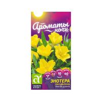 02Се2858 Цветы Энотера ламарка Королева ночи цп 0,3 г. двулетник Ароматы ночи