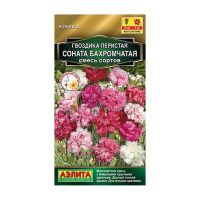 02Аэ1605 Гвоздика Соната бахромчатая, смесь сортов