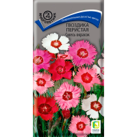 Гвоздика перистая Смесь окрасок (ЦВ) (М) 0,3гр