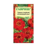 Га019834 Гравилат Огненный шар (чилийский) 0,05 г DH