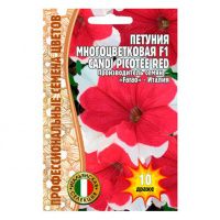 02Гр3144 Петуния Candi Picotee Red F1  10драже NDS
