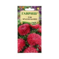Га015468 Астра Краллен Камео, однолетняя (коготковая темно-роз.) 0,3 г