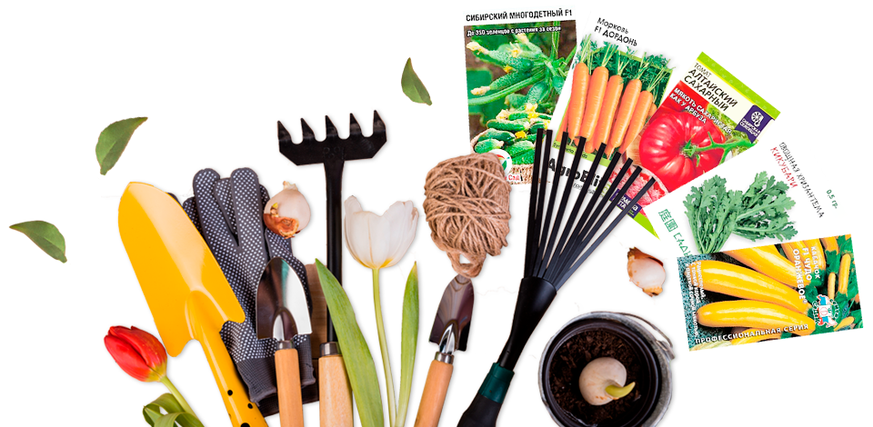 Мы сделали доставку бесплатной