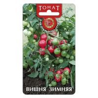 02Би3129 Томат Вишня зимняя  NDS