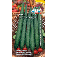 огурец Аллигатор F1