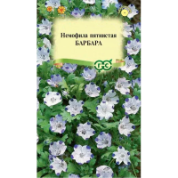 Немофила пятнистая Барбара 0,3г Аэлита