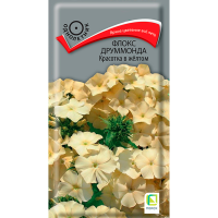 Флокс друммонда Красотка в жёлтом (ЦВ) (1) 0,1гр