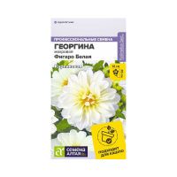 08Ге3545 Цветы Георгина Фигаро Белая махровая Семена Алтая цп 5 шт