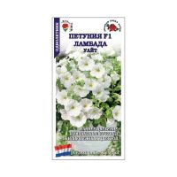 02Зо0564 Петуния Ламбада Дип виолет F1